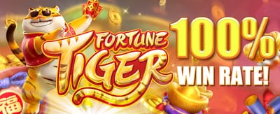Win Big in Live Casino